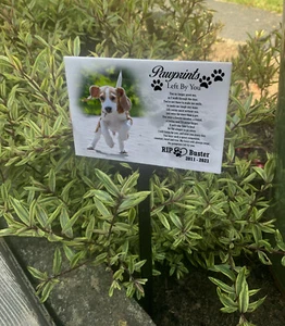 Placa conmemorativa para perro mascota, lápida personalizada, marcador de tumba regalo. - Imagen 1 de 12