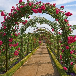 Heavy Duty Metal Garden Arch Rose Archway Pergola Arbour Climbing Plants Trellis - Picture 1 of 13