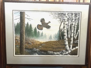 Vtg Watercolor Ruffed Grouse in Flight Among Pine & Birch Framed Signed Dated LL - Picture 1 of 10