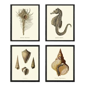 Seashell Sea Horse Wall Art Print Sett of 4 Vintage Ocean Life Unframed - Picture 1 of 8