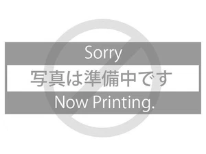 GLSSWRKS HANA Glass Mousepad Gaming 22x18.9in Limited Dark Design Japan - Afbeelding 1 van 1