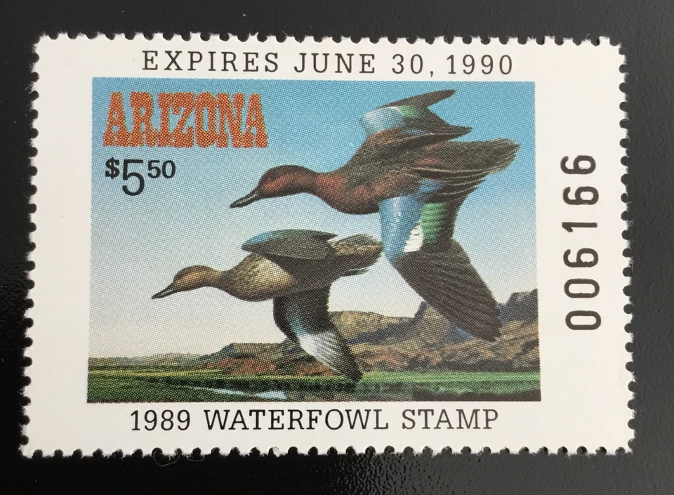 ARIZONA STATE DUCK  #3   -  MINT NEVER HINGED  -   -  SCV:  $11.00 - Image 1 of 1