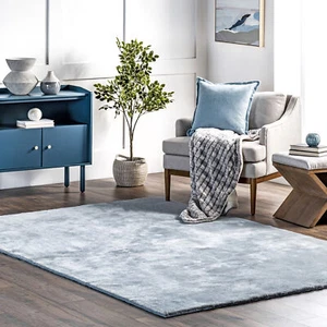 nuLOOM Loni Transitional Light Blue Indoor Only Washable Accent Rug - Picture 1 of 3