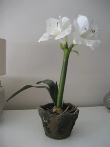 künstliche Amaryllis weiß getopft Weihnachten Deko hochwertig - Bild 1 von 6