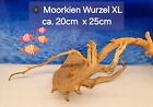 Moorwurzel - Spiderwood XL Aquarium Wurzel