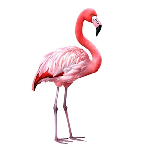 Autoaufkleber Sticker Watercolor Flamingo Aufkleber 9X9 cm - Picture 1 of 10