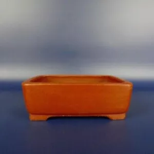 Pentola bonsai giapponese TOKONAME SHIBAKATSU forma rettangolare L12,5 cm H4 cm senza smalto - Foto 1 di 24