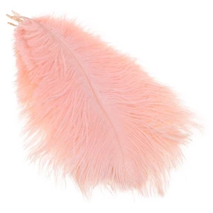 Colored Ostrich Feather 10Pcs for Photography Props Flower Arrangement DIY Decor - Picture 1 of 21