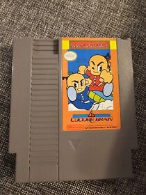 Kung Fu Heroes (Nintendo Entertainment System, 1989) NES Cart Only. Tested!!!!