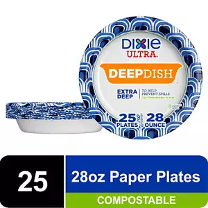 Disposable Paper Plates, 28 oz, Multi-Color, 25 Count - Picture 1 of 6