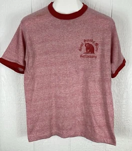 Camiseta De Colección Great Smoky Mountains Gatlinburg Tennessee Timbre Puntada Única - Imagen 1 de 14