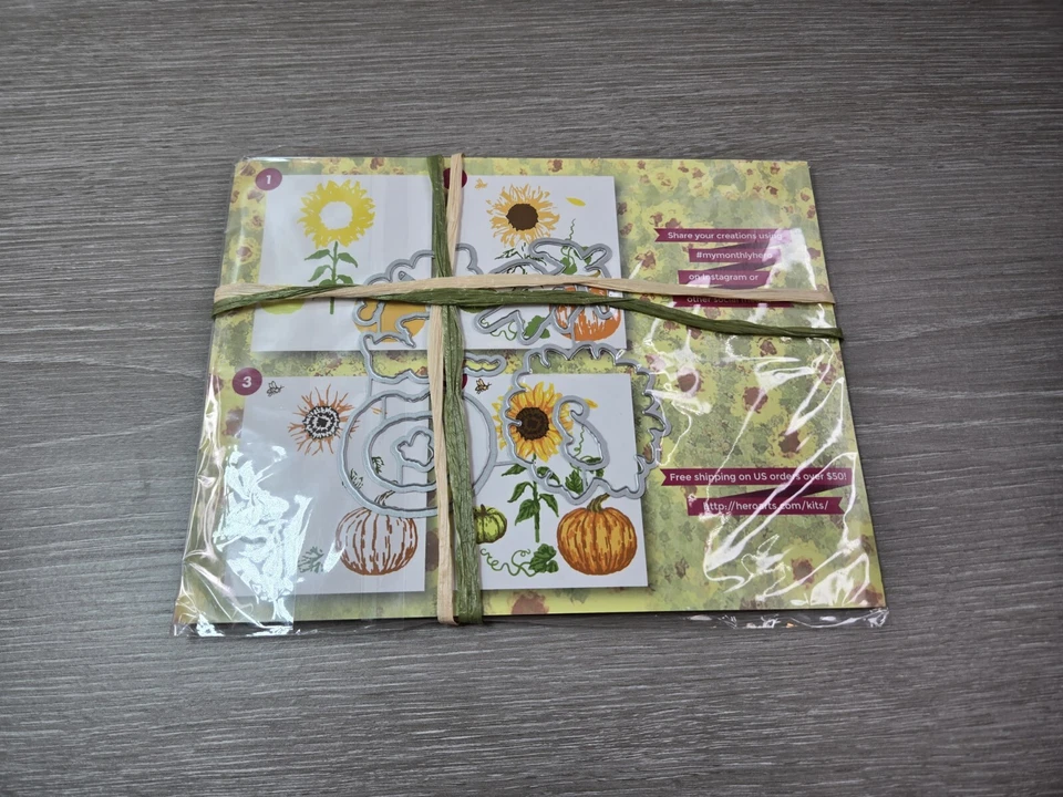 Hero Arts My Monthly Hero Kit Otoño Flores y Calabazas NUEVOS SELLOS Y TROQUELES solamente Foto 1 de 1