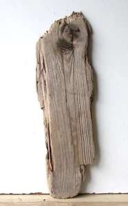 Treibholz Schwemmholz Driftwood 1 Brett Regal Dekoration Basteln 42 cm *268* - Bild 1 von 15