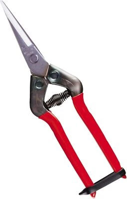 CHIKAMASA Stainless Steel Cutting / Flower Scissors T-55SH - Image 1 of 2