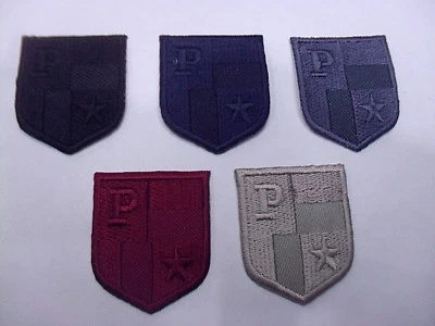 TOPPA PATCH RICAMO SU TESSUTO "STELLA P" TERMO O DA CUCIRE DIMENSIONI VARIE - Immagine 1 di 2