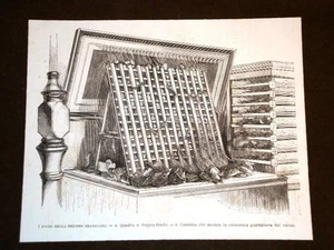 Esposizione di Filadelfia del 1877 Sezione del Brasile Bachi da seta Vermi - Picture 1 of 1