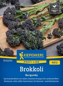 Brokkoli Burgundy Sprossenbrokkoli violette Knospen Mehrfachernte SAMEN 1040200 - Bild 1 von 2
