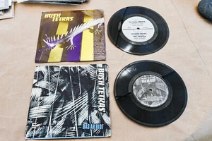 Bush Tetras,LP,Vinyl,RECORDS,Punk,Iggy,Alternative rock,New WAVE,GOTH,Pixies - Picture 1 of 6