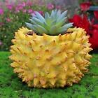 Durian Flower Pot Decorative Small Modern Tabletop Ornament Plant Pot For Indoor