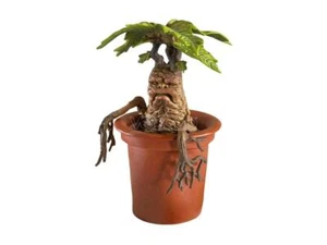 Harry Potter Creature Magiche Statua Mandragora 18 cm Noble Collection - Imagen 1 de 4