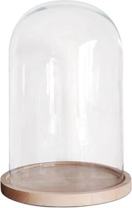 EDINBURG ELEMENTI STUDIO FUSIONE CUPOLA VETRO ESPOSITORE CON BASE IN LEGNO - Foto 1 di 1