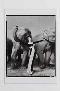 RICHARD AVEDON: " DOVIMA,DRESS BY DIOR", 1955 , seltene Kunst-Postkarte - Picture 1 of 2