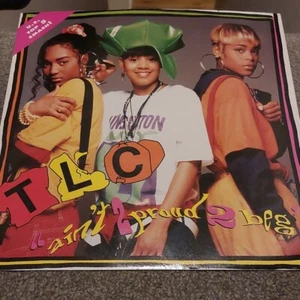 TLC - Ain't 2 Proud 2 Beg (12") (VG-/G++) 1992 - Free UK Postage - Picture 1 of 7
