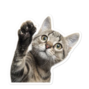 Adesivo in vinile zampa di gatto simpatico gattino - Foto 1 di 4