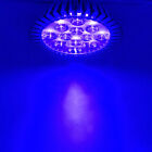 12W 430Nm~440Nm Purple-Blue Par38 Led Lamp Spot Light Bulb Curing Aquarium E26/7
