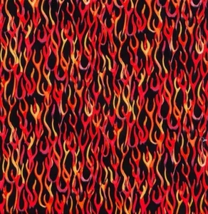 Llamas Fuego Ventana Cenefa Cortina Cocina RV Cámper Movin On Decoración del Hogar - Imagen 1 de 1