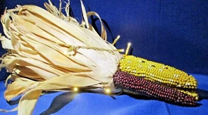Harvest Ornamental Resin Corn Bunch w/ Accent Lights-For Fall/Autumn Decorating - Picture 1 of 9