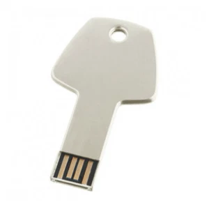 USB Pegar Clave K028 Cromo/Plata Llave USB Flash Unidad 2.0 - Imagen 1 de 4