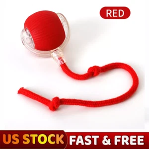 Cat Interactive Ball Toys Rolling Ball Faux Tail Rechargeable Smart Pet Toy Gift - Picture 1 of 13