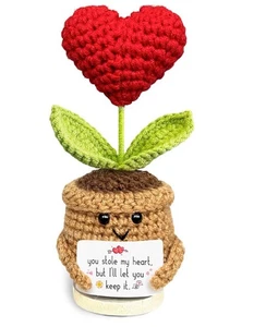 Crochet “YOU STOLE MY HEART” Heart Plant Flower-Perfect Gift - Picture 1 of 6