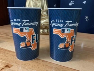  29 ct. NY Mets 2020 Spring Training Florida 22 oz. Concession Drink Cups - New - Picture 1 of 4