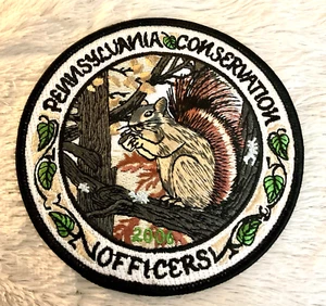 2006 PENNSYLVANIA CONSERVATION OFFICER KEYSTONE PATCH "SCOIATTOLO GRIGIO" - Foto 1 di 2