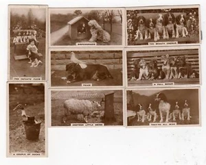 LOTE/8 TARJETAS DE LONDRES CON FOTO REAL DE CIGARRILLOS RESZKE SERIE PERROS #2 J MILLHOFF - Imagen 1 de 2