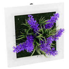 Plant Photo Frame Wall- Mounted Lavender Plants Plastic Picture Delicate