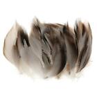 100Pieces Mallard Duck Feathers Beautiful Feather 5-8cm For Wedding Party