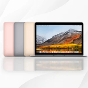 Apple MacBook Retina 12-inch 2017 - All Sizes - Various Colours - Used - Afbeelding 1 van 3