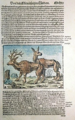 Holzschnitt,Hirsche, Sebastian Münster, ~1570, Cosmographia, David Kandel - Bild 1 von 4