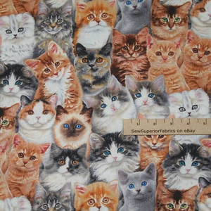 Cat Breeds Russian Blue Persian Siamese Tabby Cotton Fabric 1/2 Yard #3802 - Picture 1 of 3