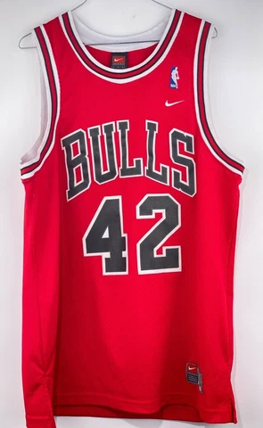 Vintage Chicago Bulls Elton Brand #42 Jersey Nike NBA Basketball Size Large Cover