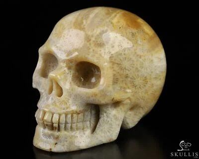 Calavera de cristal tallada a mano fósil de coral de 2,0", realista, cristal curativo Foto 1 de 4