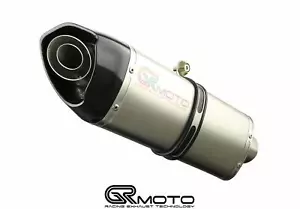 Exhaust for Ducati MONSTER 797 2017-2020 GRmoto Carbon Titanium - Picture 1 of 1