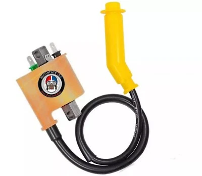 Bobina de encendido y tapa para Honda Foreman 500 Foreman Rubicon 500 TRX500 Foto 1 de 2