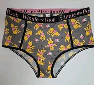 NEW Torrid 1 Winnie The Pooh Brief Panty Panties Underwear Sz 14/16 Disney - Picture 1 of 4
