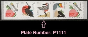US 4995-4998 4998a Coastal Birds postcard rate PNC5 MNH 2015 - Picture 1 of 1