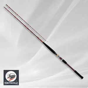 Daiwa Deep Zone GS 300-205-R Offshore Boat Rod envío desde JAPÓN - Imagen 1 de 2