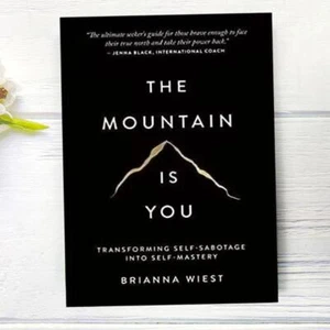 THE-MOUNTAIN IS YOU BY BRIANNA WIEST PAPERBACK - FREE SHIPPING - New - Picture 1 of 9